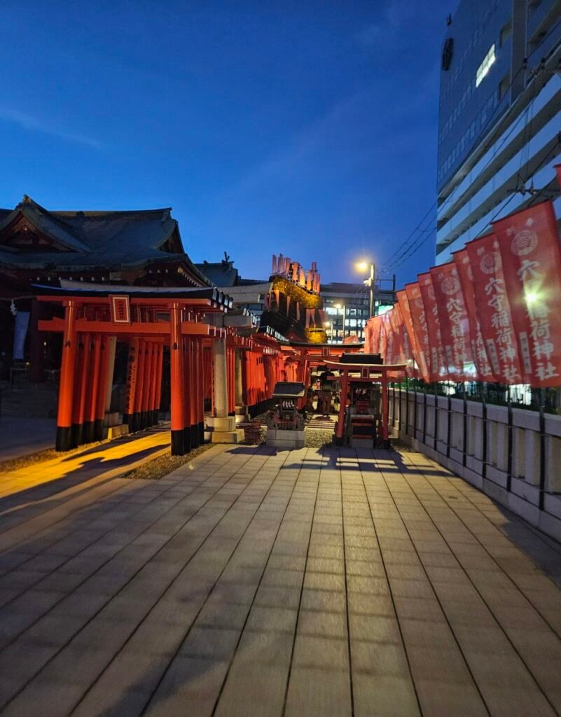 Anamori Inari 1