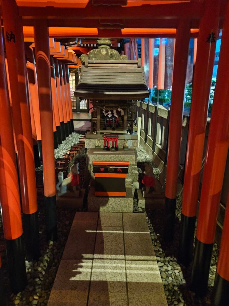 Anamori Inari 9