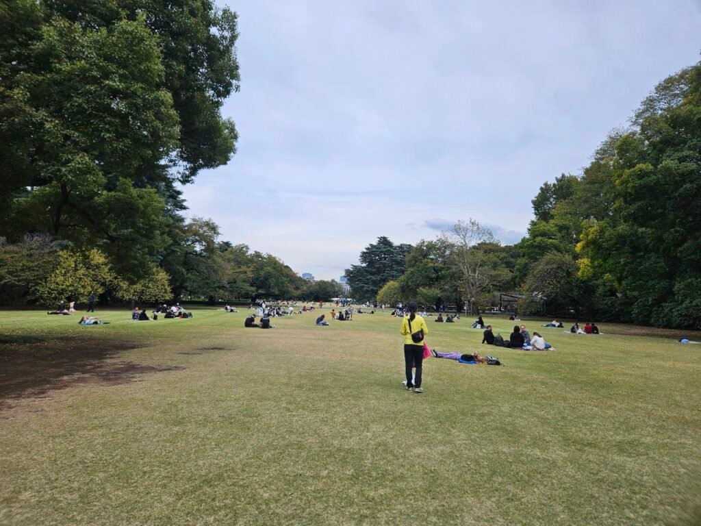 photo 2025 11 06 17.48.40 photo 2025 11 06 17.48.40