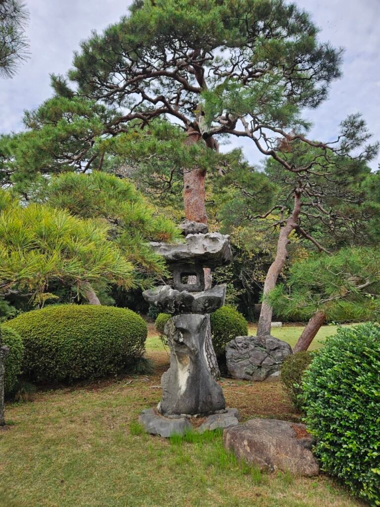 🌸 Shinjuku Gyoen: el jardín donde Tokio baja el volumen photo 2025 11 06 17.48.53