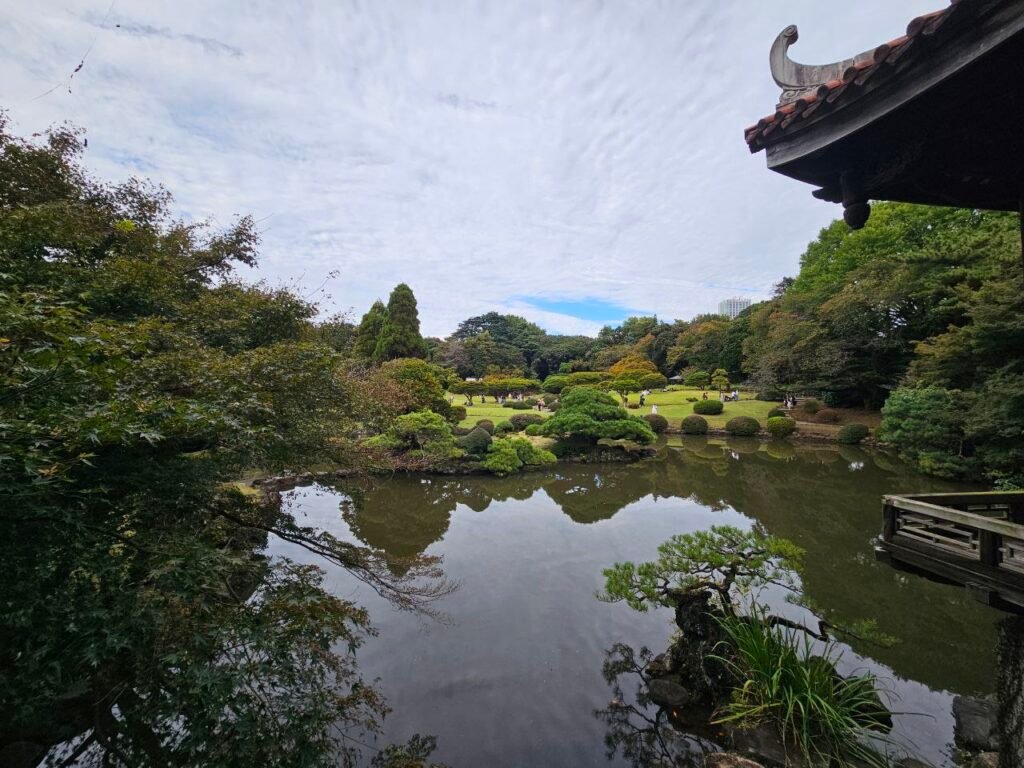 🌸 Shinjuku Gyoen: el jardín donde Tokio baja el volumen photo 2025 11 06 17.48.57
