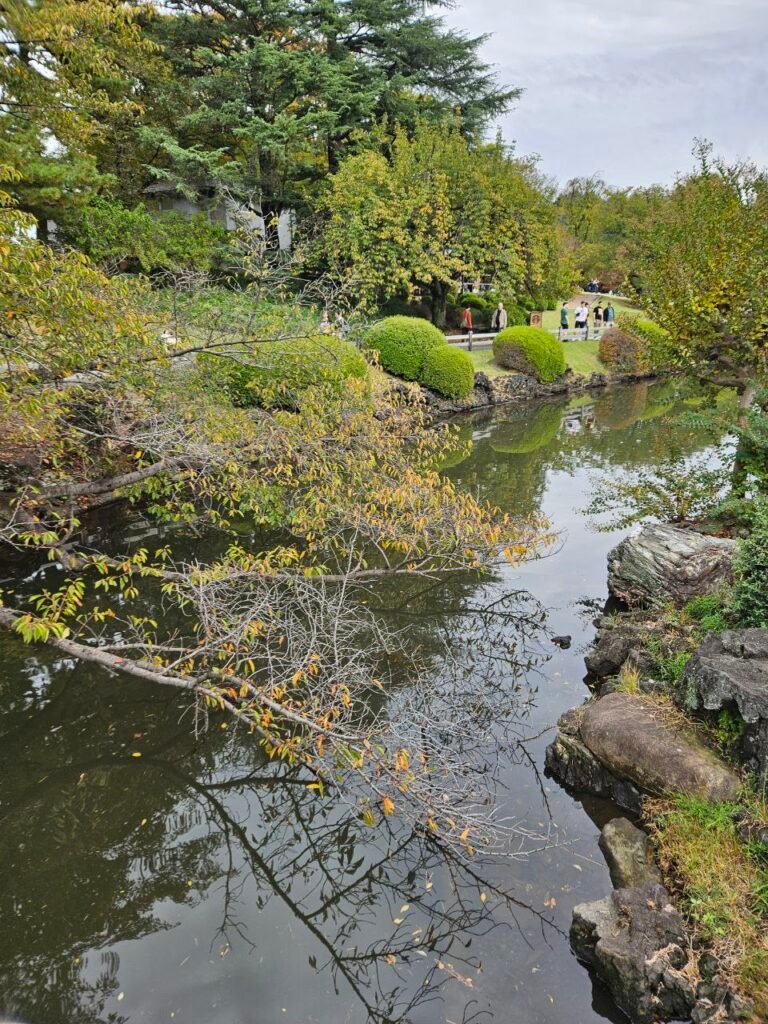 🌸 Shinjuku Gyoen: el jardín donde Tokio baja el volumen photo 2025 11 06 17.49.00