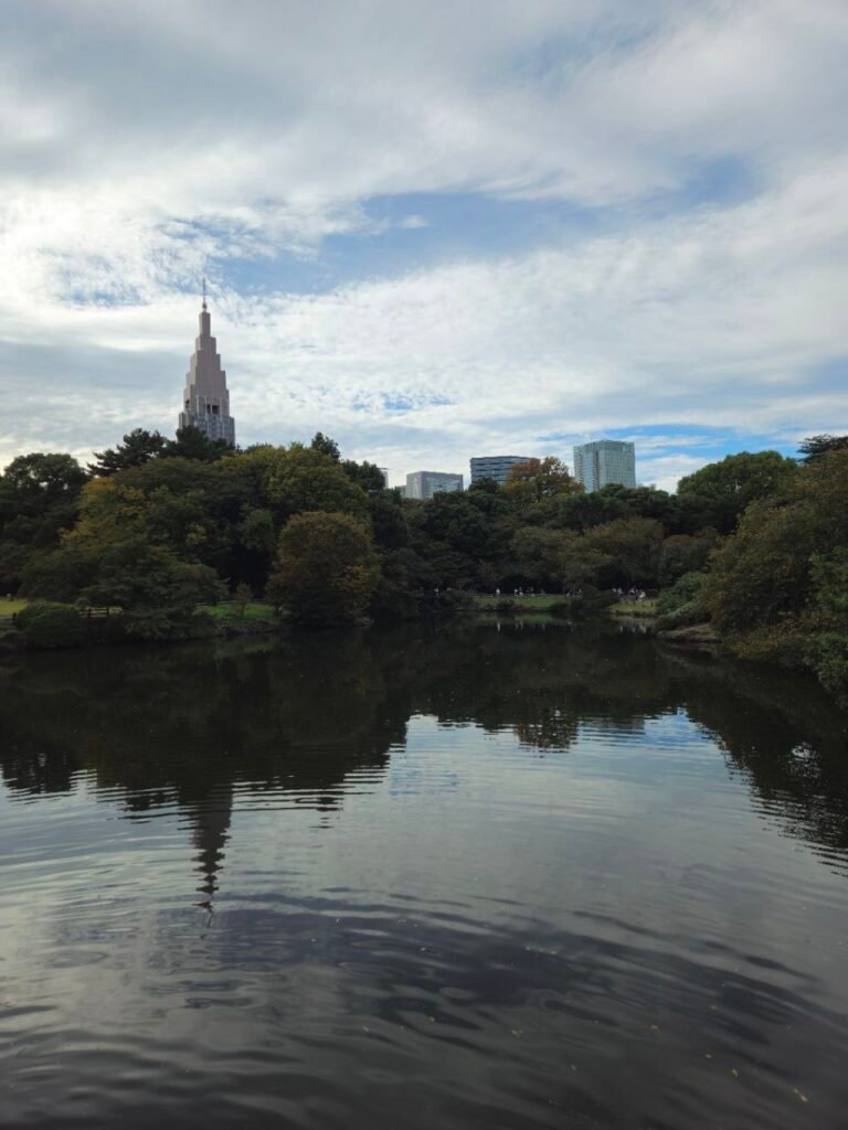 photo 2025 11 06 17.49.02