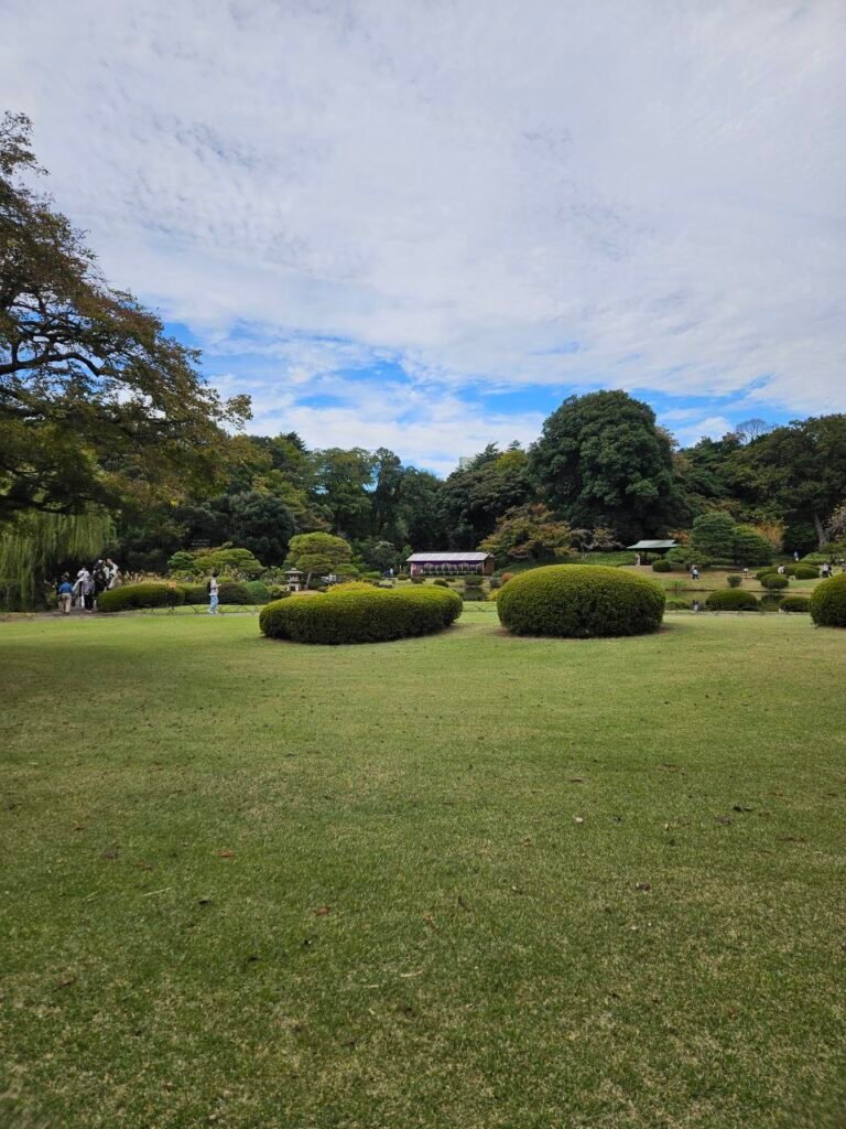 🌸 Shinjuku Gyoen: el jardín donde Tokio baja el volumen photo 2025 11 06 18.24.45