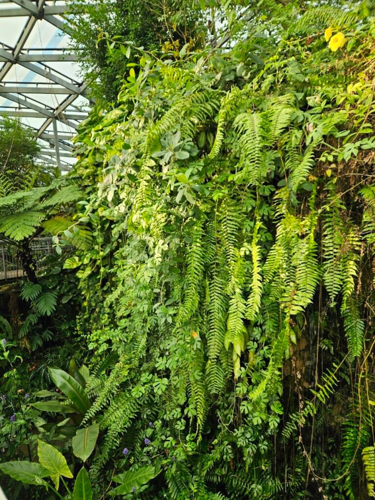 🌸 Shinjuku Gyoen: el jardín donde Tokio baja el volumen photo 2025 11 06 18.43.45