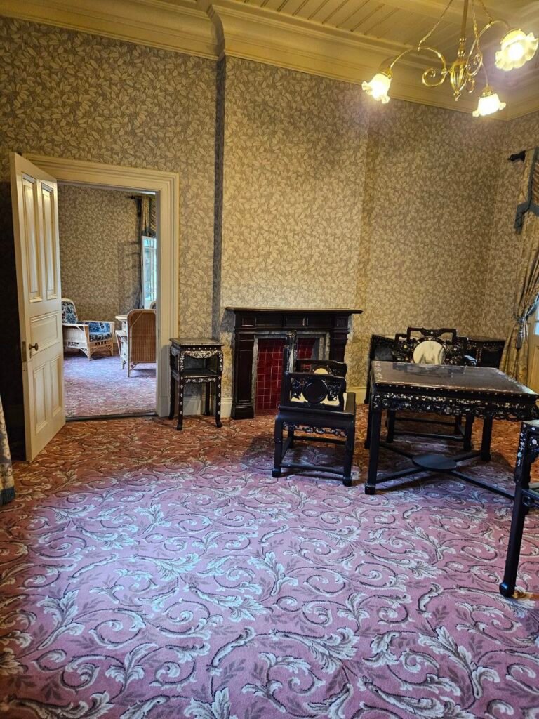 🌸 Shinjuku Gyoen: el jardín donde Tokio baja el volumen photo 2025 11 06 18.43.54