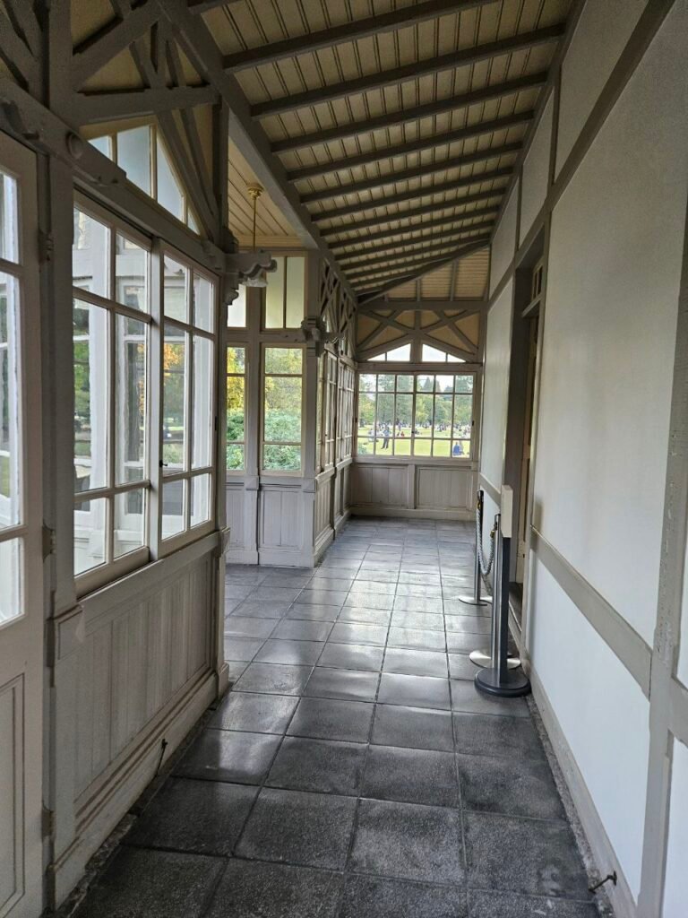 🌸 Shinjuku Gyoen: el jardín donde Tokio baja el volumen photo 2025 11 06 18.43.56