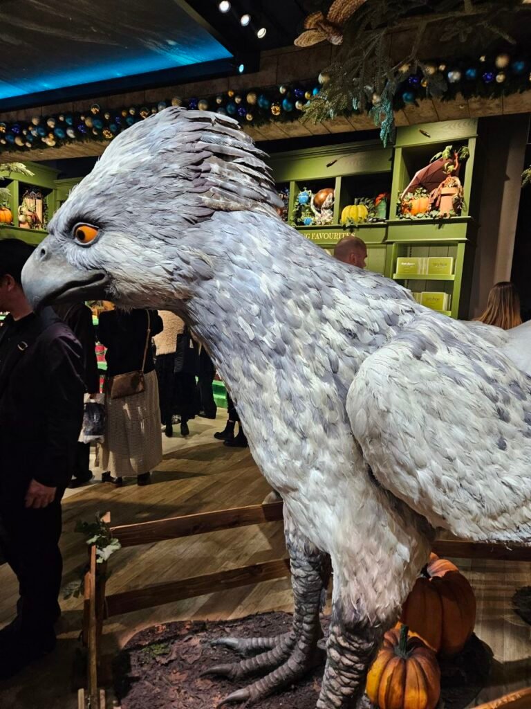 photo 2025 11 07 12.47.31