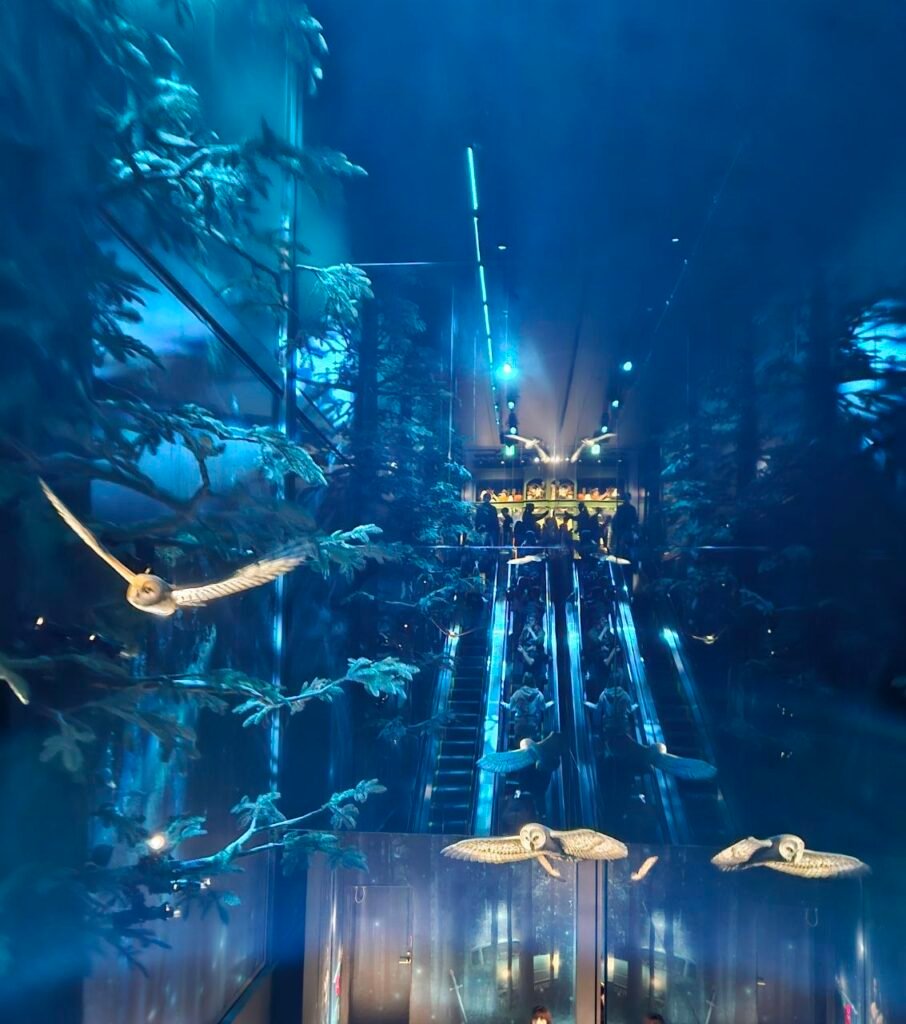 photo 2025 11 07 12.47.35