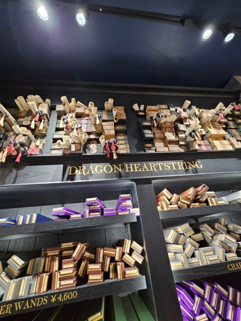 photo 2025 11 07 12.47.37